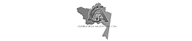 brand_a8a